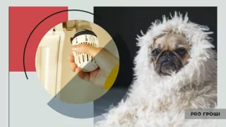 Фото: Pexels, Unsplash. Колаж: Pro Гроші